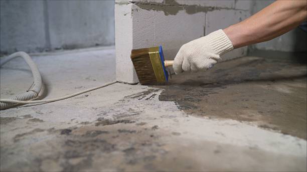 SJ Waterproofing Pros Basement Waterproofing coverage map for Trafalgar, IN and surrounding area